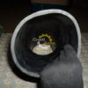 DSC01031