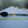 DSC07900