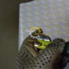 DSC08655