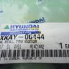 XKAY-00444 XKAY-00444