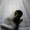 DSC09794