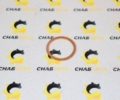 Шайба