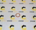 Шайба