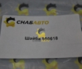 Шайба