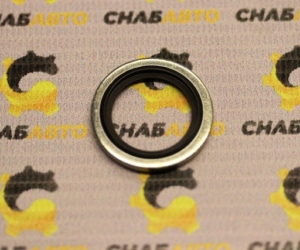 Шайба