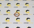 Шайба