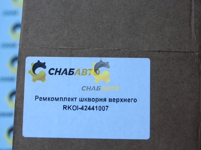 Ремкомплект шкворня верхнего RKOI-42441007